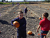 Tyler coming back with his pumpkin