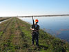 Tyler looking for pheasants