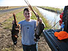 Tyler's pheasants