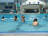 The kids in the pool