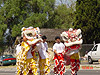 Chinese dragons