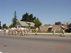 Another picture of them heading our way