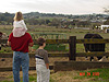 Jordan, Ken, and Tyler feeding the cows