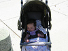 Jordan waiting in her stroller