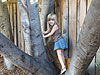 Jordan playing on a tree