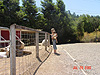 Tanya and Jordan looking at the animals