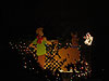 Christmas lights in Rohnert Park