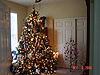Our tree before being finished