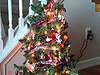 Our baby tree