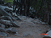 Another picture of the trail
