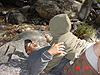 Tyler trying to feed Ken a nice, tasty stick