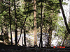 A look at the rainbow through the trees