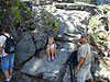 Tyler, Jordan, and Ken taking a quick rest on the way back down