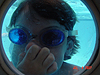 Destry