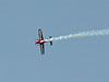 The air show