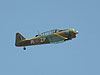 The air show