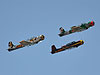 The air show