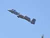 The air show