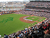 A view of the field from above