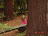 Jordan looking up at the trees