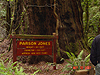 The Parson Jones tree
