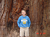 Tyler