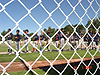 Tyler's team saying the little league pledge