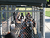 Tyler and his team in the dugout