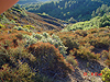 The hillside