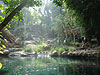 The Jungle Cruise