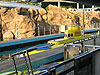 The Finding Nemo ride