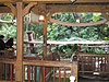 The line for the Jungle Cruise