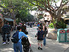 Us in Disneyland