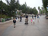 All of us in Disney's California Adventure