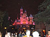 The Disney Castle