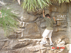 Tyler rock climbing