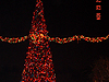 The Disneyland Christmas tree at night