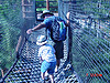 Ken and Tyler going across a rope bridge