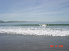 A view of the beach on a beautiful day