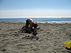 Tyler digging in the sand