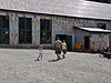 The Empire Mine