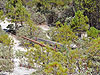 The Malakoff Diggins Mine