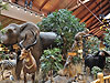 Cabela's