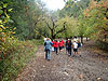 Tyler's class walking around the orchard