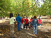 The kids getting ready to pick apples