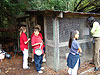 The kids looking at the chicken eggs