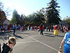 The Harvest Fair
