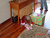 Jordan opening gifts