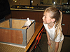 Makala watching the pigeon