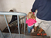 Tyler, Jordan, and Ken walking down the stairs of the lighthouse
